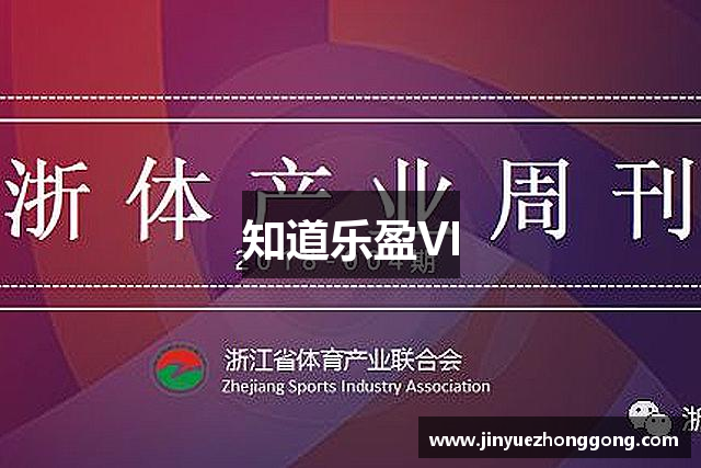 知道乐盈VI